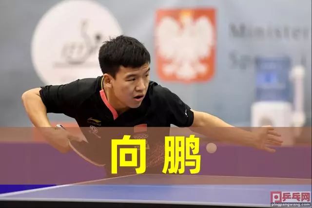 这一数据在 这一数据在